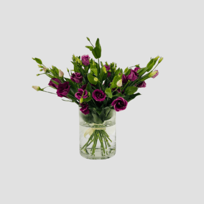 Eustoma-Vase-B-LXF-1725