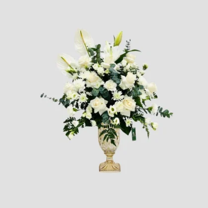 White Symphony-LXF-1635