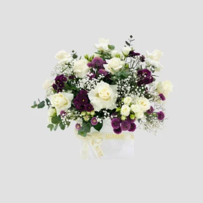 Snowberry Luxe-LXF-1636