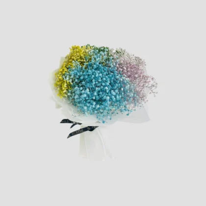 Rainbow Gypsophila-LXF-1638