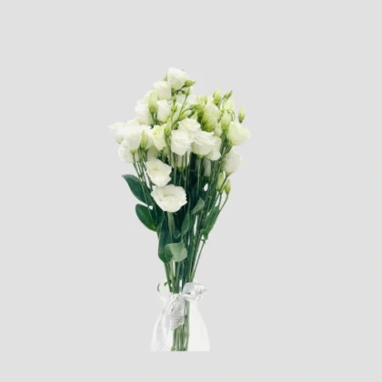 Wholesale-47-White Eustoma-LXF-1642