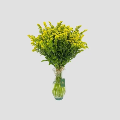 solidago Vase-LXF-1658