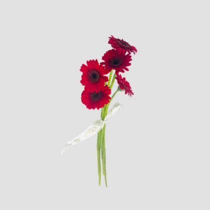 Wholesale-51-Red Gerbera-LXF-1665