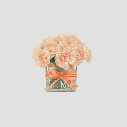 Peach Carnation Vase-LXF-1668