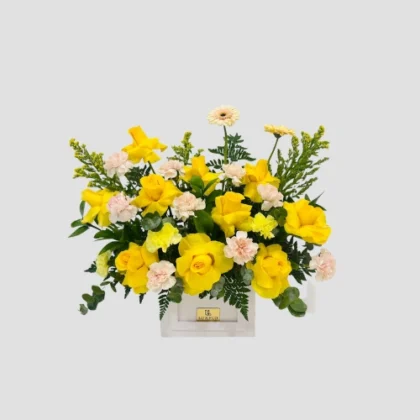 Golden Glow-LXF-1673