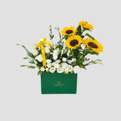 Sunshine Box-LXF-1679