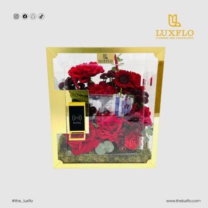 Treasure Box-LXF-1727