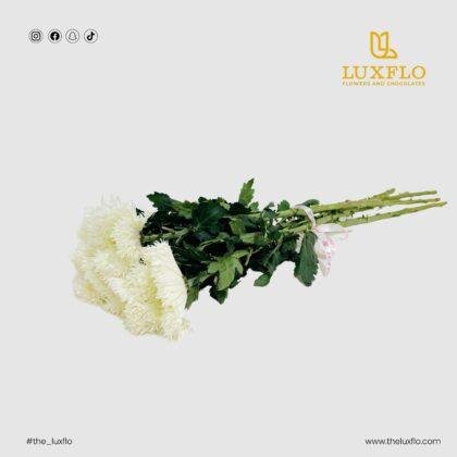 Wholesale-60-Chrysanthemum Anastasia-LXF-1731