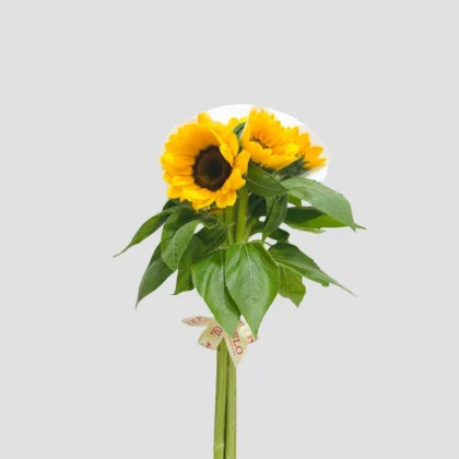 Wholesale-64-Sun flower-LXF-1794