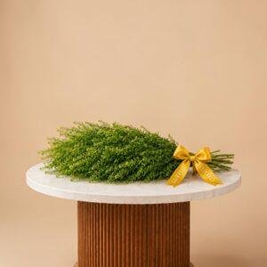Wholesale-Green Lepidium-LXF-1738