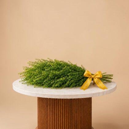 Wholesale-Green Lepidium-LXF-1738