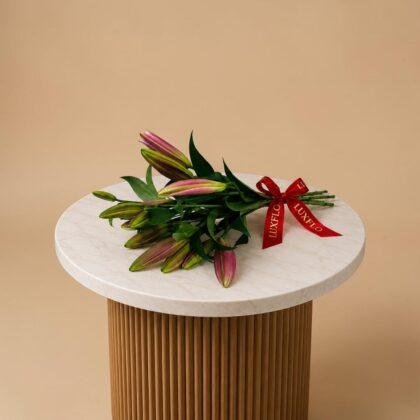 Wholesale-Lilly Pink-LXF-1891