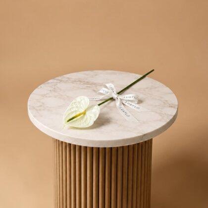 Wholesale-Anthurium White-LXF-1920