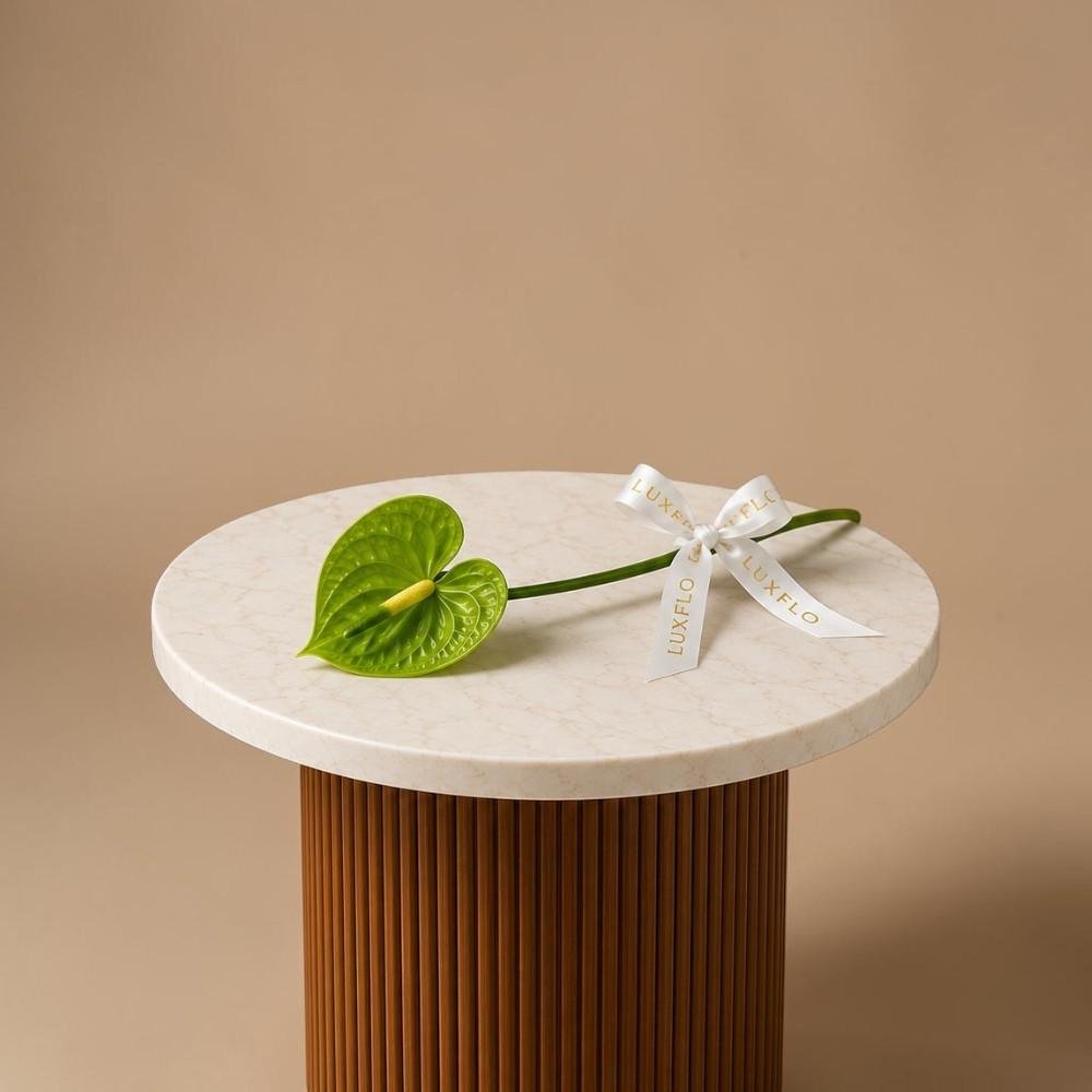Wholesale-Anthurium Green-LXF-1921