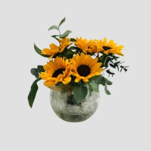 Sunsmile-LXF-1862