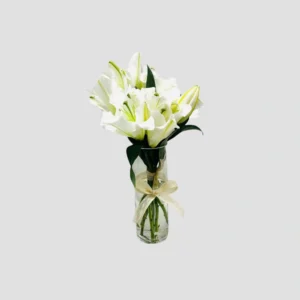 White Elegance Vase-LXF-1885