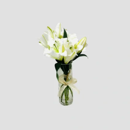 White Elegance Vase-LXF-1885