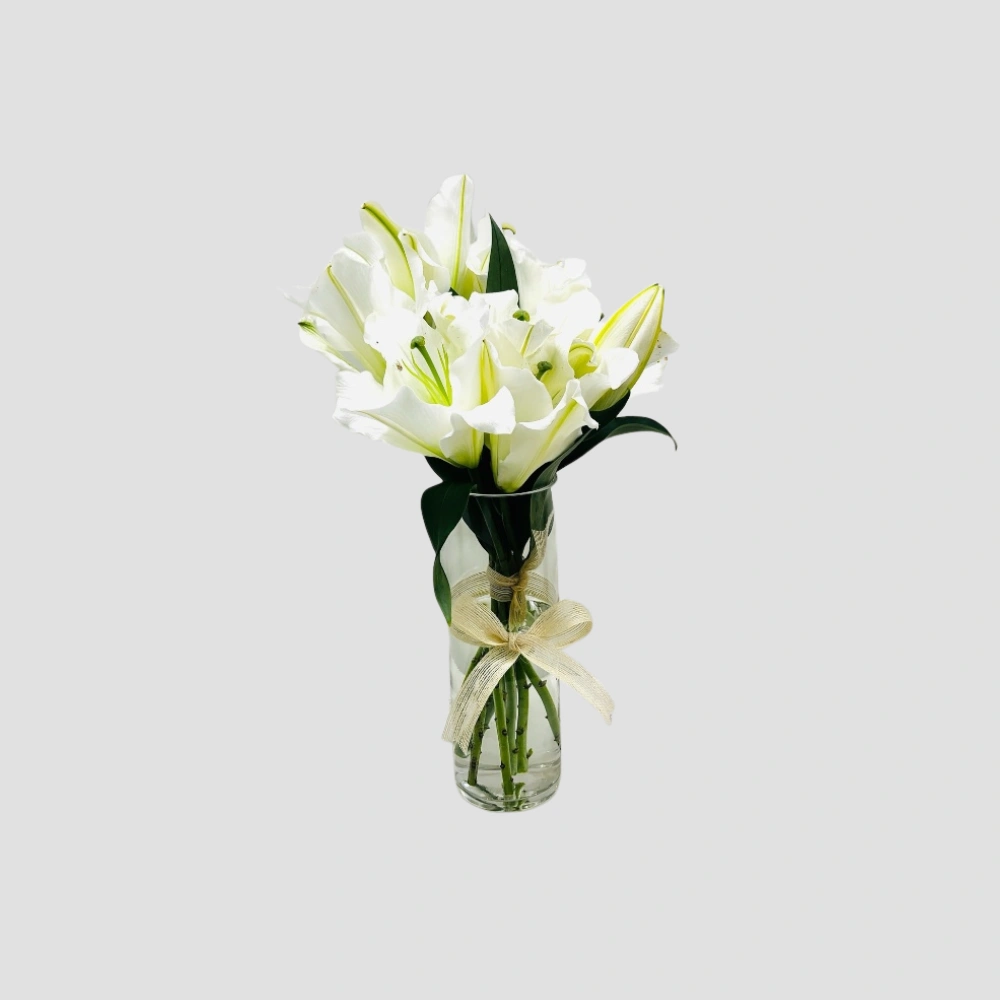 White Elegance Vase-LXF-1885
