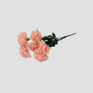 AF Wholesale-07-Carnation Pink-LXA-1899