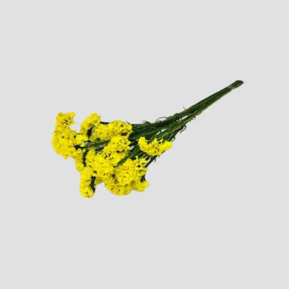 AF Wholesale-10-Statice yellow-LXA-1902