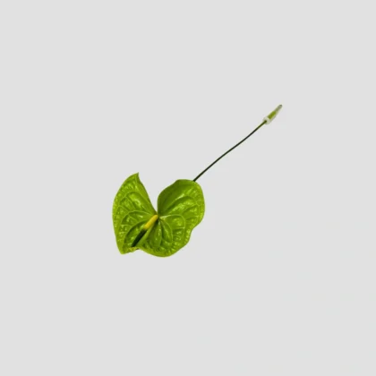 Wholesale-71-Anthurium Green-LXF-1921