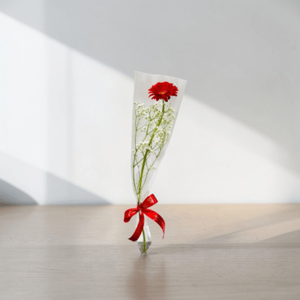 Red Gerbera Elegance-LXF-1927