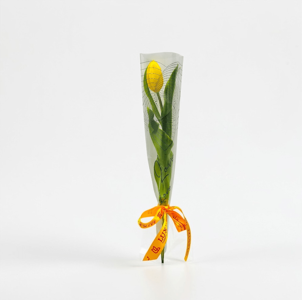 Tulip Love Stem-LXF-1926