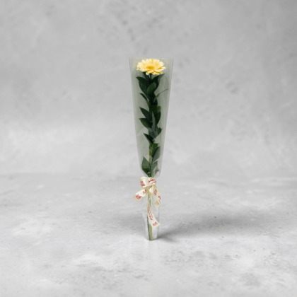 Peach Gerbera-LXF-1929