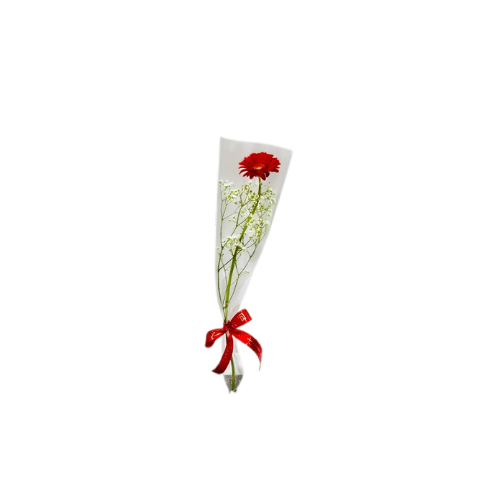 Red Gerbera Elegance-LXF-1927