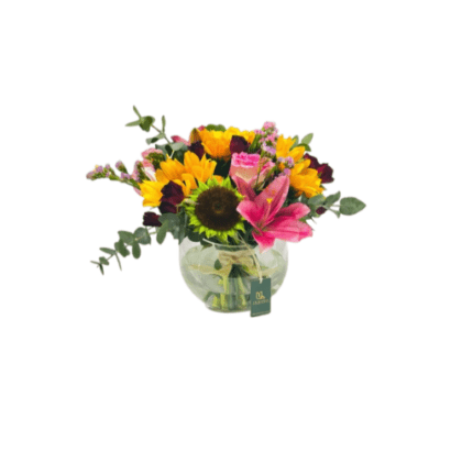 Sunny Bloom Bowl-LXF-1935