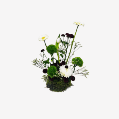 Natural Bloom Décor-LXF-1941