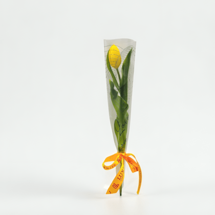 Tulip Love Stem-LXF-1926