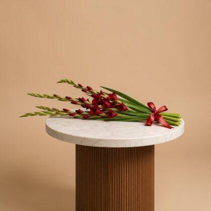 Wholesale-Gladiolus Red-LXF-1978