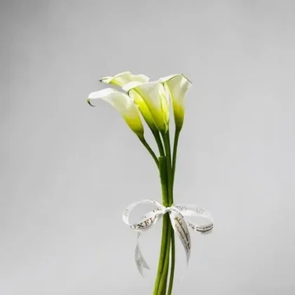Wholesale-White Calla lily -LXF-1988